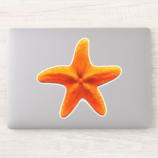Starfish Aufkleber (Computer)