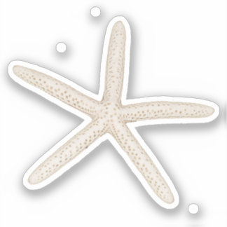 Starfish-Aufkleber Aufkleber