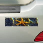 Starfish Autoaufkleber (Auf Auto)