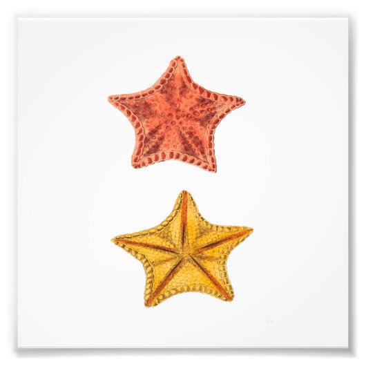 Starfish Beach Sea Wasserbad Print Fotodruck (Vorne)