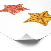 Starfish Beach Sea Wasserbad Print Fotodruck (Ecke)