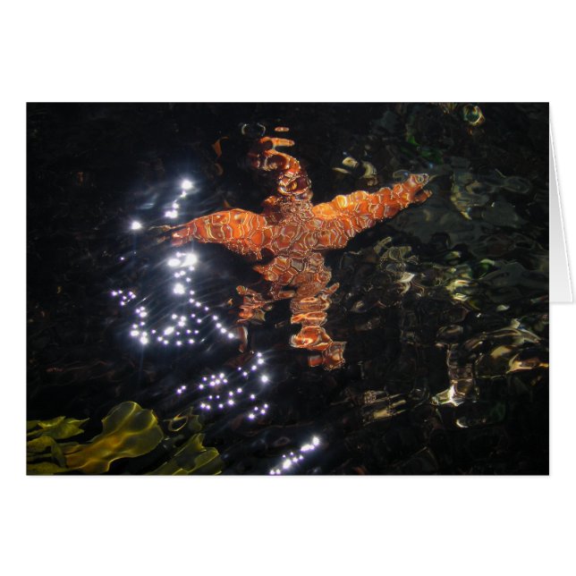 Starfish bei Tidepool (Vorderseite (Horizontal))