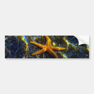 Starfish Bumper Sticker Autoaufkleber