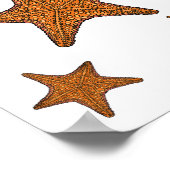 Starfish Cartoon Poster (Ecke)