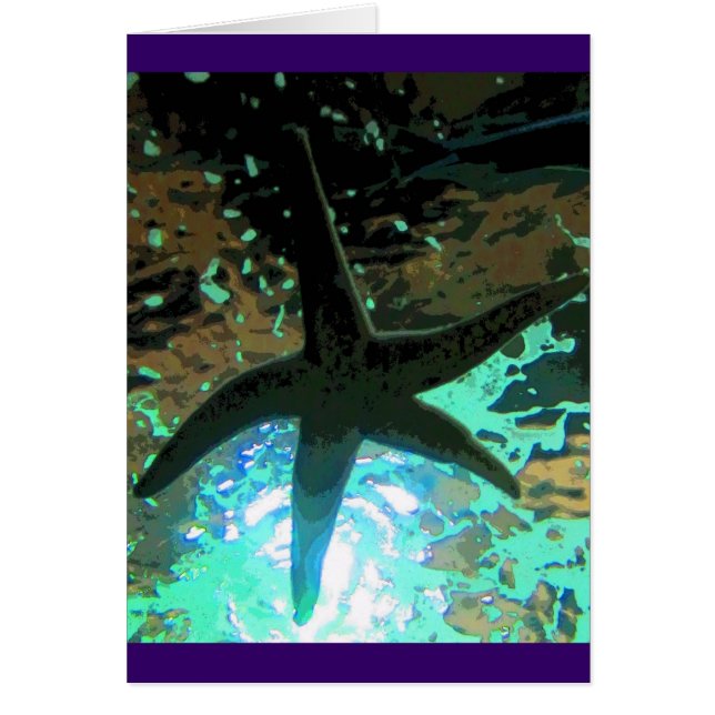Starfish CB (Vorne)