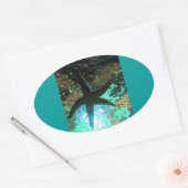 Starfish CB Ovaler Aufkleber (Umschlag)