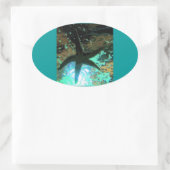 Starfish CB Ovaler Aufkleber (Tasche)