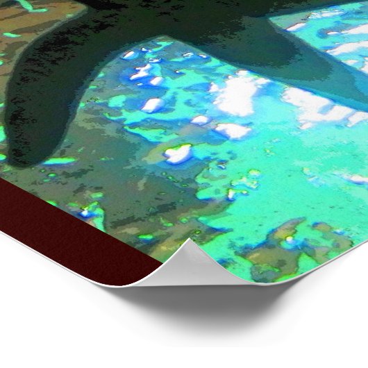 Starfish CB Poster (Ecke)