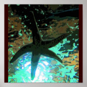 Starfish CB Poster (Vorne)