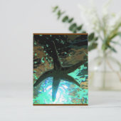 Starfish CB Postkarte (Stehend Vorderseite)