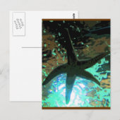 Starfish CB Postkarte (Vorne/Hinten)