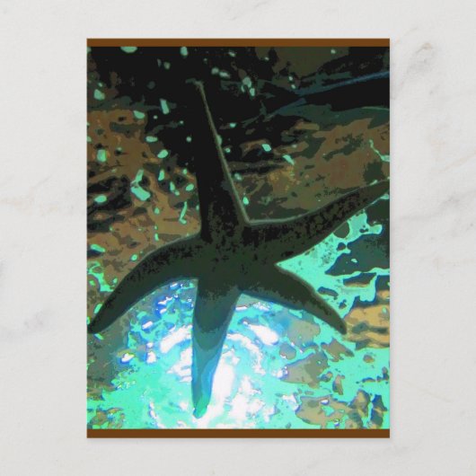 Starfish CB Postkarte (Vorderseite)