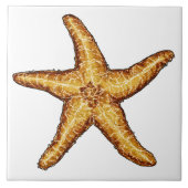 Starfish Fliese (Vorderseite)