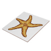 Starfish Fliese (Seite)