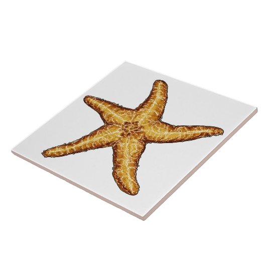 Starfish Fliese (Seite)