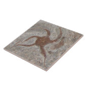 Starfish Fossil Tile Trivet Fliese (Seite)