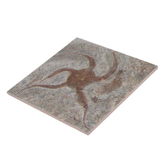 Starfish Fossil Tile Trivet Fliese (Seite)