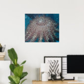 Starfish Fotografie-Poster Poster (Heimbüro)