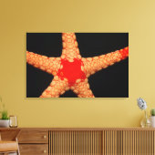 Starfish (Fromia monilis), Malediven. Leinwanddruck (Insitu (Wohnzimmer))