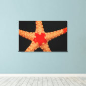 Starfish (Fromia monilis), Malediven. Leinwanddruck (Insitu (Holzboden))