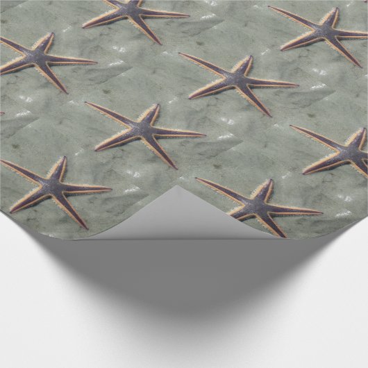 Starfish Geschenkpapier (Ecke)