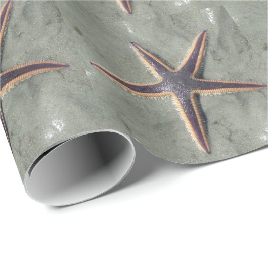 Starfish Geschenkpapier (Rolleneckpunkt)