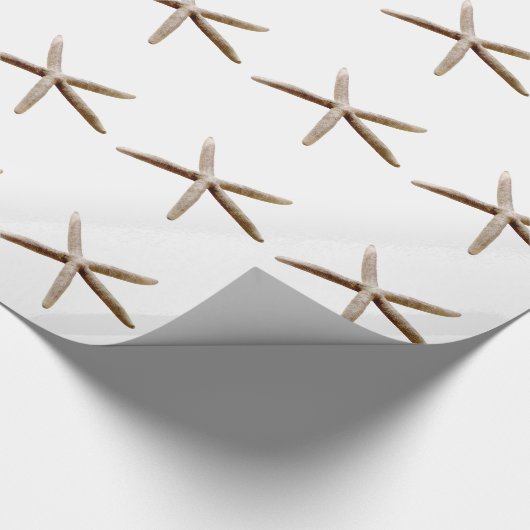 Starfish Geschenkpapier (Ecke)