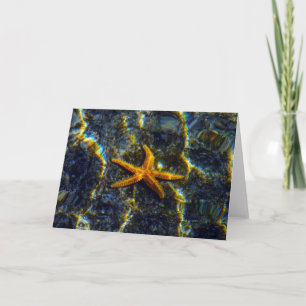 Starfish Grußkarte Karte