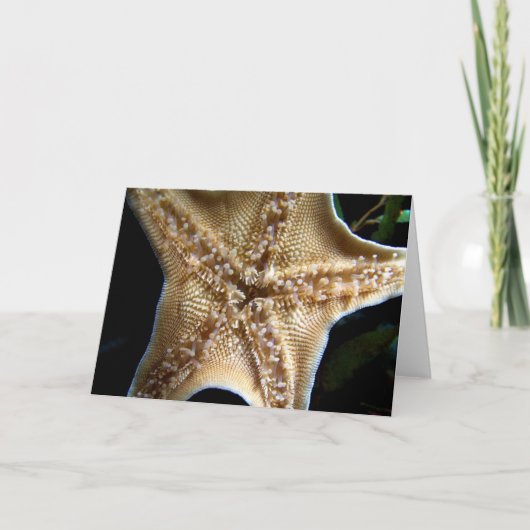 Starfish Grußkarte Karte (Vorderseite)