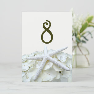 Starfish Hochzeit Tischnummer Cards Seaside Garden