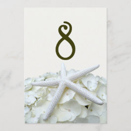 Starfish Hochzeit Tischnummer Cards Seaside Garden