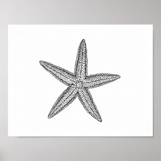 Starfish Illustration in Schwarzweiß Poster (Vorne)