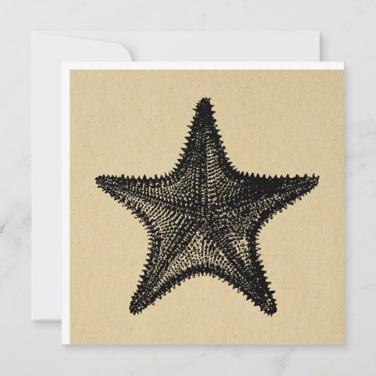 Starfish Illustration Ozean Vintager Starfish Mitteilungskarte (Rückseite)