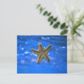 Starfish im Meer Postkarte (Stehend Vorderseite)