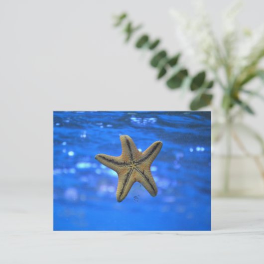 Starfish im Meer Postkarte (Stehend Vorderseite)