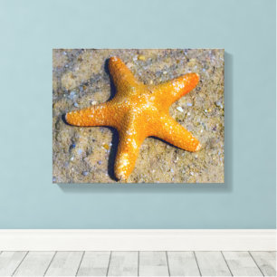 Starfish im Sand Leinwanddruck