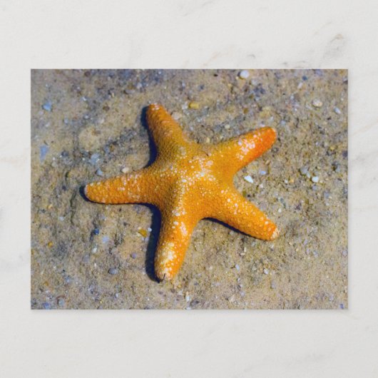 Starfish im Sand Postkarte (Vorderseite)