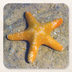 Starfish im Sand Rechteckiger Pappuntersetzer