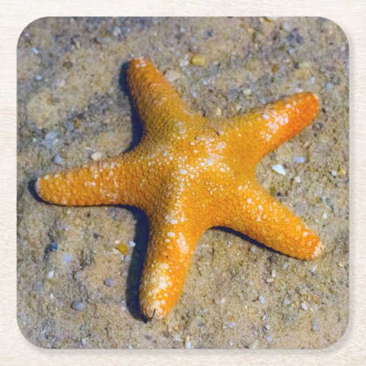 Starfish im Sand Rechteckiger Pappuntersetzer (Vorderseite)