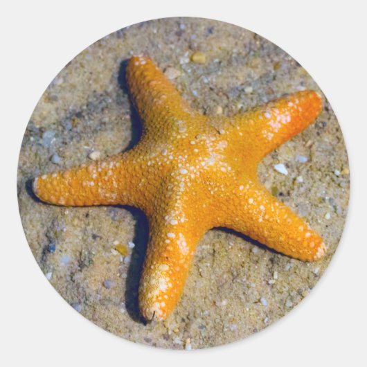 Starfish im Sand Runder Aufkleber (Vorderseite)
