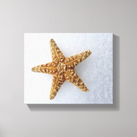 Starfish in der Schnee-Original-Fotografie-Poster Leinwanddruck (Vorderseite)
