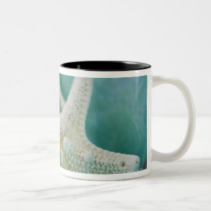 Starfish in der Schüssel Zweifarbige Tasse