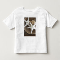 Starfish in einem Korb