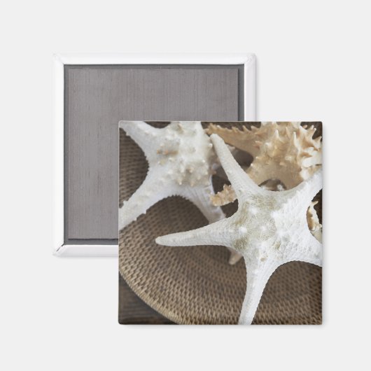 Starfish in einem Korb Magnet (Vorderseite/Rückseite)