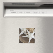 Starfish in einem Korb Magnet (In Situ (Geschirrspüler))
