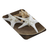Starfish in einem Korb Magnet (Rechte Seite)