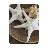 Starfish in einem Korb Magnet (Vertikal)
