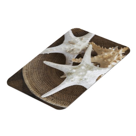 Starfish in einem Korb Magnet (Linke Seite)