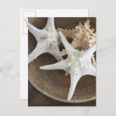 Starfish in einem Korb Postkarte (Vorne/Hinten)