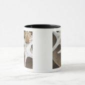 Starfish in einem Korb Tasse (Zentrum)